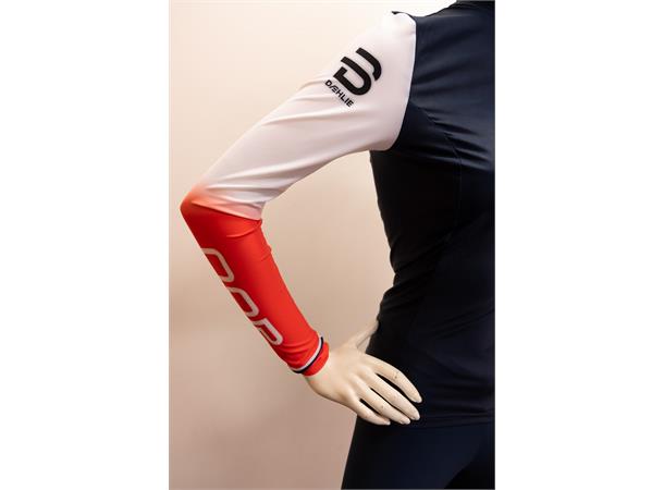 Dæhlie Racesuit Nations 2-Piece Wmn L 2-Delt racingdress til dame M/NOR Logo 