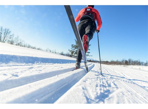 Madshus Endurace Skin m/Xcelerator Semi-Racing felleski med Xcelerator