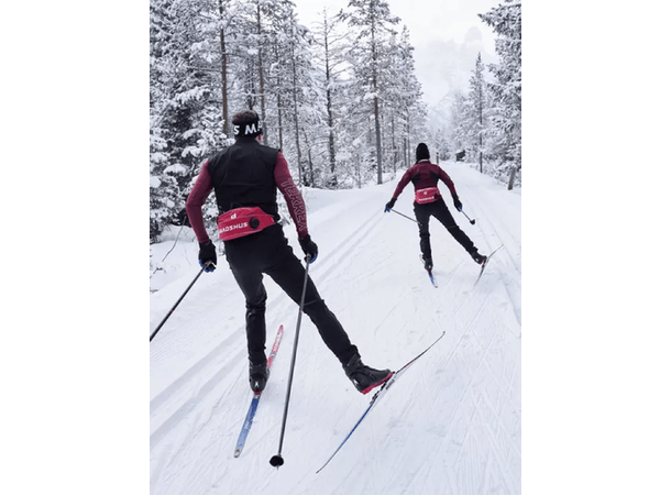 Madshus Endurace Skate 182/50-65 Semi-racing Skøyteski 