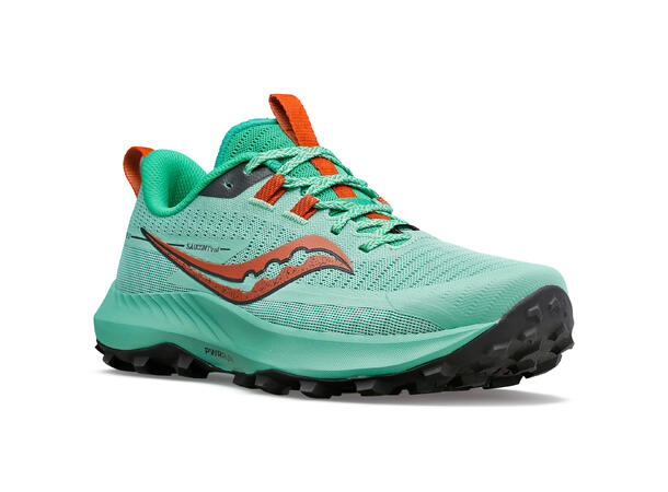 Saucony omni 13 online dames
