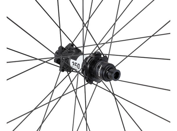 Roval Control Alloy 350 6B Rear 29" Bakhjul 