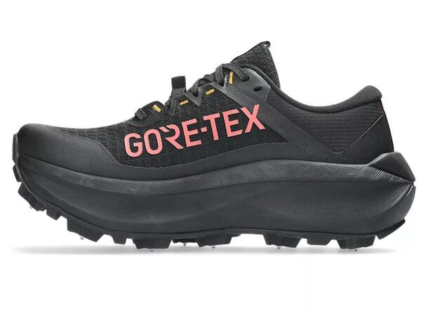 Asics Dame Fujisetsu Max GTX 39,5 Vinterløping med maksimal stabilitet 